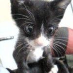 久しぶりに瞑想会に