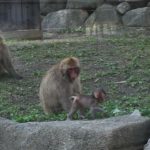 言葉は信念の反映だとすると