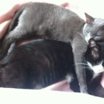 そらさん、達者で。