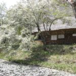 【お悩み相談 00099】対人関係がうまくいかない