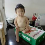 網戸効果？