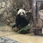 デイケア 2018.9.26