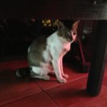 【お悩み相談 00157】死の恐怖