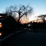 デイケア 2018.11.21