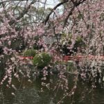 デイケア 2019.3.27
