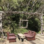 デイケア 2019.4.17