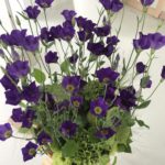 【お悩み相談 00285】家族と仲悪い