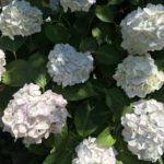 【お悩み相談 00278】やっぱり私を誰も理解しない・・・