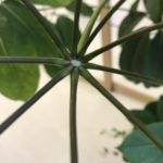 【お悩み相談 00276】どうすればいいのでしょうか