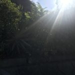 【お悩み相談 00305】私に出来る事はありますか