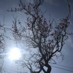 【お悩み相談 00391】毎日が憂鬱です、、