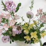 【お悩み相談 00396】検診や治療をしたいのですが、主人がお金に細かくて、躊躇しています