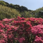 【お悩み相談 00416】義母のいじめがトラウマになっています