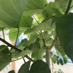 【お悩み相談 00459】もう体も心もしんどいです