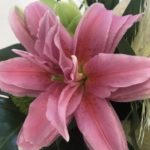 【お悩み相談 00463】これって何かの疾患だったりしますか？