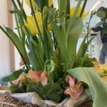 【お悩み相談 00552】ADHD,　ASDの扱い方を教えて下さい。