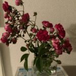 3つよかったことを書く2021.5/11-17