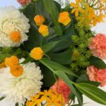 【お悩み相談 00557】友達にうつ病って言われました。