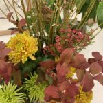 【お悩み相談 00615】人間ドックの再検査が不安です