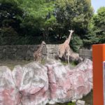 【お悩み相談 00679】心の病気