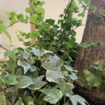 【お悩み相談 00684】仕事の件について