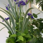 【お悩み相談 00664】不安と怖い気持ちでいっぱい