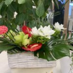 【お悩み相談 00715】不安です。次はないのに