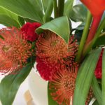 【お悩み相談 00734】参加したかったのに