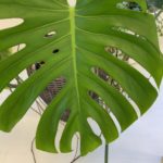 【お悩み相談 00748】学校を休んだら？