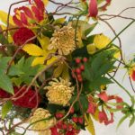 【お悩み相談 00785】大学での人間関係の悩み