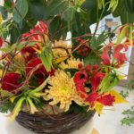 【お悩み相談 00787】外に出るのが怖いです