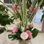 2024.2.13デイケア