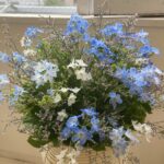 デイケア 2024.4.9