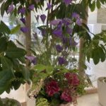 デイケア 2024.7.12