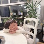 第2子、2歳9ヶ月の様子