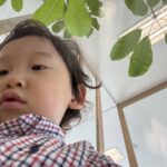 第2子、3歳0ヶ月の様子